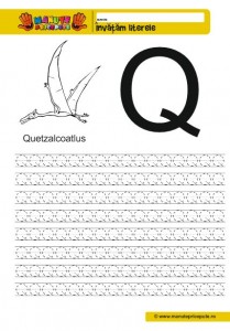 Q - 002 - litere de tipar