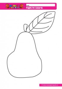 003 - Fructe de toamna