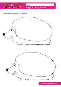 Fisa de lucru cu arici