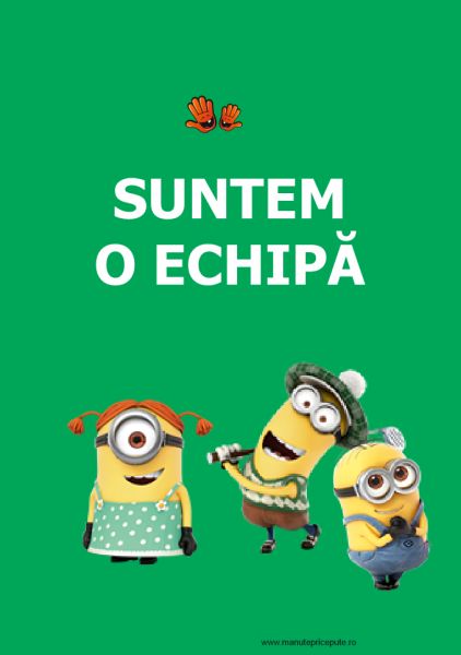 clasa minionilor - regulile clasei