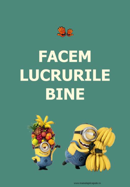 clasa minionilor - regulile clasei