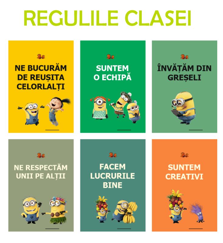 clasa minionilor - regulile clasei