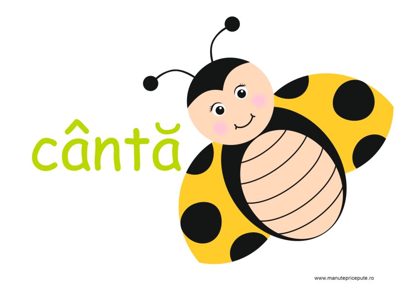 mesaje clasa buburuzelor si mămăruțelor