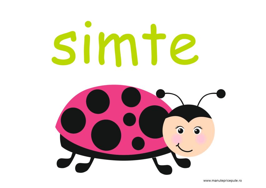 mesaje clasa buburuzelor si mămăruțelor