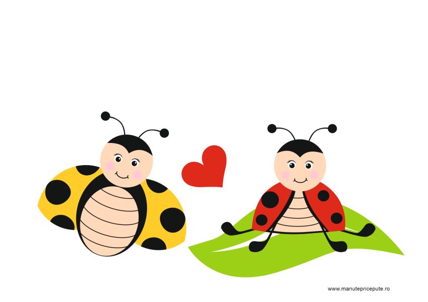 mesaje clasa buburuzelor si mămăruțelor