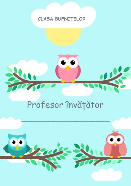 Clasa bufnițelor – afiș