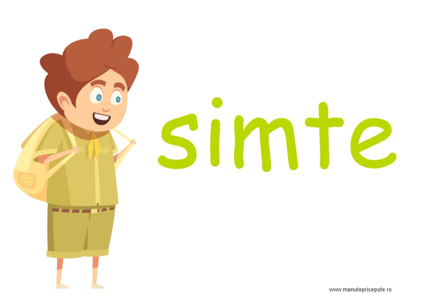 clasa cercetasilor - decor