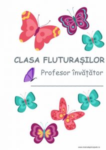 decor clasa fluturasilor