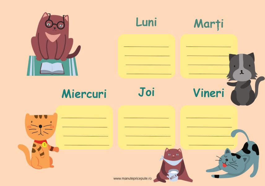 Clasa pisicuțelor – orar