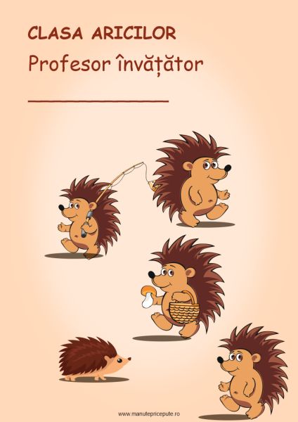 Clasa aricilor – afiș
