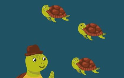 Clasa broscuțelor țestoase – afiș