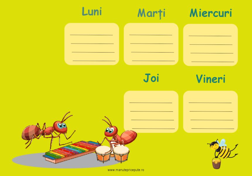 Clasa furnicuțelor – orar